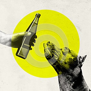 Purebred dog looking at beer bottle against yellow circle background. Contemporary art collage.