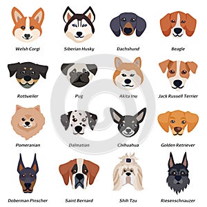 Purebred Dogs Faces Icon Set