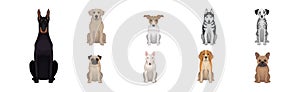 Purebred Dogs Sitting on Hind Legs Vector Set