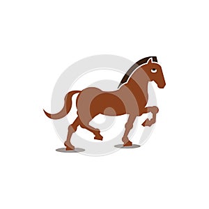 Purebred horse white background