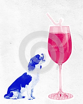 Purebred little dog looking on aperol spritz cocktail against textured light background. Contemporary art collage.