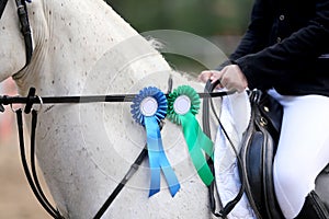 Purebred sport horse wearing winners trophy after competition
