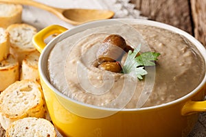 Puree chestnut soup with toasted bread macro. horizontal