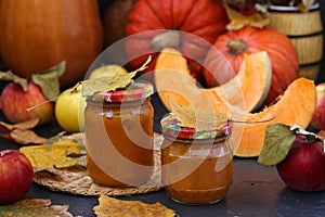 Puree pumpkin and apple for children, located in banks against a dark background