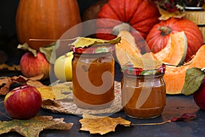 Puree pumpkin and apple for children, located in banks against a dark background