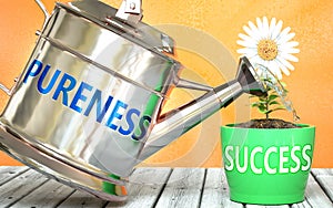 Pureness helps achieving success - pictured as word Pureness on a watering can to symbolize that Pureness makes success grow and