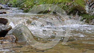 Purest mountain creek in the forest. Stream of water moves between the stones covered with moss. Small river with rocks