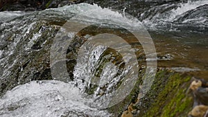 Purest mountain creek in the forest. Stream of water moves between the stones covered with moss. Small river with rocks