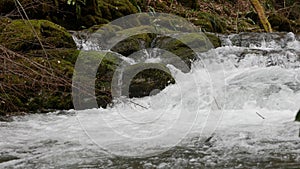 Purest mountain creek in the forest. Stream of water moves between the stones covered with moss. Small river with rocks