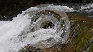 Purest mountain creek in the forest. Stream of water moves between the stones covered with moss. Small river with rocks