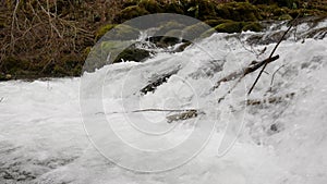 Purest mountain creek in the forest. Stream of water moves between the stones covered with moss. Small river with rocks