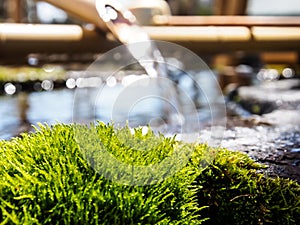 Purification fountain in Japanese shrine