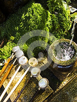 Purification water fountain