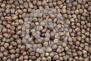 Purified hazelnuts on market counter in daylight.