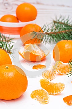 Purified mandarin slices, whole mandarins and fir branches