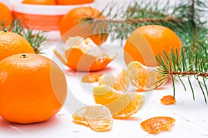 Purified mandarin slices, whole mandarins and fir branches