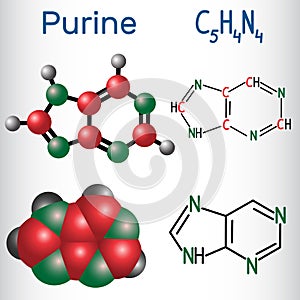 Purine molecule, is a heterocyclic aromatic organic compound. St photo