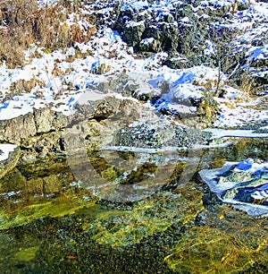 The purity of the river Reflection