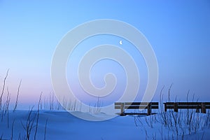 Purity winter with bench in moonlight photo