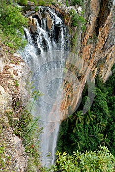 Purling Brook Falls in Springbrook National Park, Australia.
