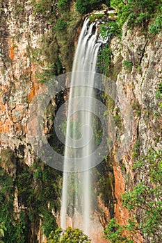 Purlingbrook Falls in Springbrook