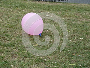 purple airballoon photo