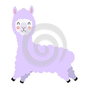 Purple alpaca