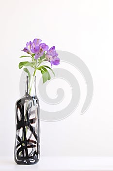 Purple alstroemeria in glass vase on white table