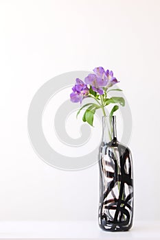 Purple alstroemeria in glass vase on white table