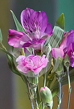 Purple Alstroemeria and Pink Carnations Bouquet