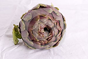 Purple Artichoke photo