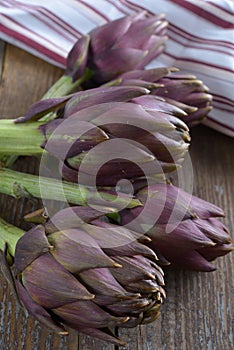 Purple artichokes