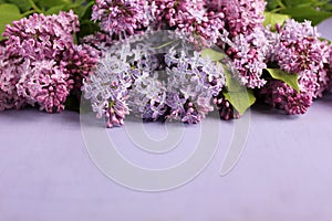 Purple background with lilac, selective focus. spring floral backdrop