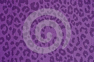 Peanuts in the shell on a white backgroundPurple background with spots. Texture of the same pattern purple background. photo