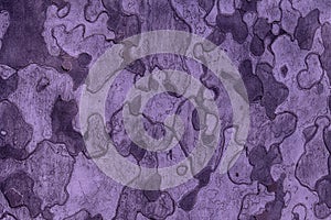 Purple Background texture of tree bark. Skin the bark of a tree that tr