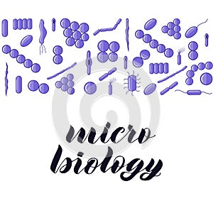 Purple bacterias. Micro biology hand lettering.