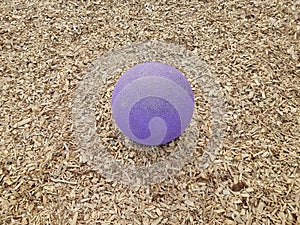 Purple ball or sphere in brown mulch