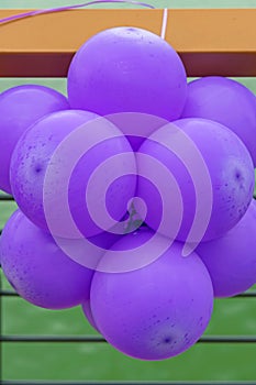 Purple Balloons Cluster