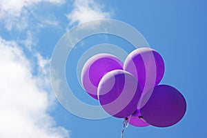 Purple balloons floating in blue sky