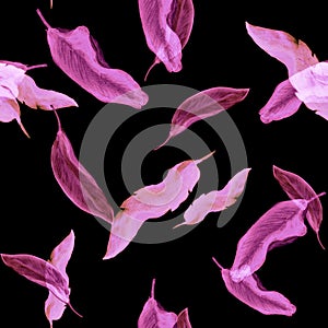 Purple Banana Foliage. Pink Seamless Foliage. Violet Tropical Background. Pattern Garden. Watercolor Leaf. Floral Plant. Summer De