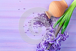 Purple bath salt, flowering hyacinth on the table.