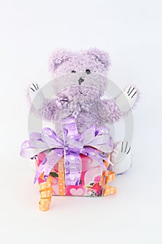 Purple bear and gift box.