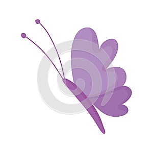 Purple beautiful butterfly delicate insect isolated icon white background