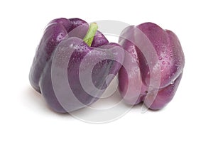 Purple Beauty Pepper