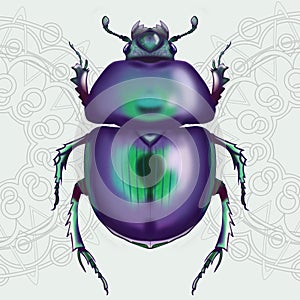 Purple beetle in patterns on a light green background