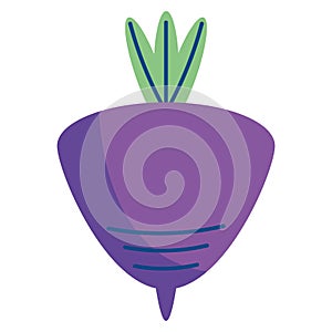 Flat Beetroot Vegetable Vector Icon