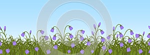 Purple bell flowers in green grass on a blue sky background. Seamless border