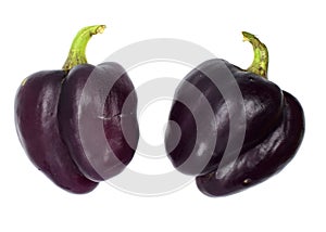 Purple bell pepper isolated on a white background. Side view