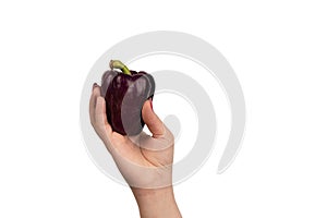 Purple bell peppers in hand on a white background