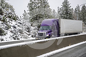 Purple big rig shiny semi truck transporting cargo in refrigerator semi trailer driving on a winter highway road during a snowfall